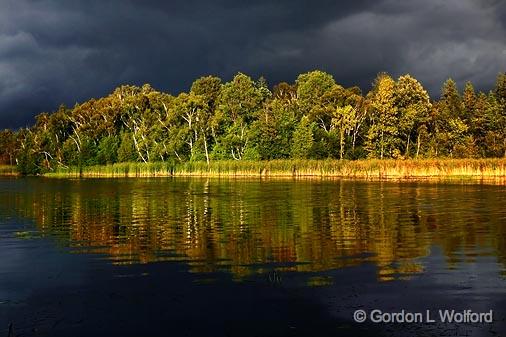 Sunlit Under A Black Sky_06681.jpg - Scugog River photographed near Lindsay Ontario, Canada.